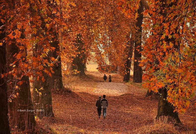 Exploring the Mughal Gardens